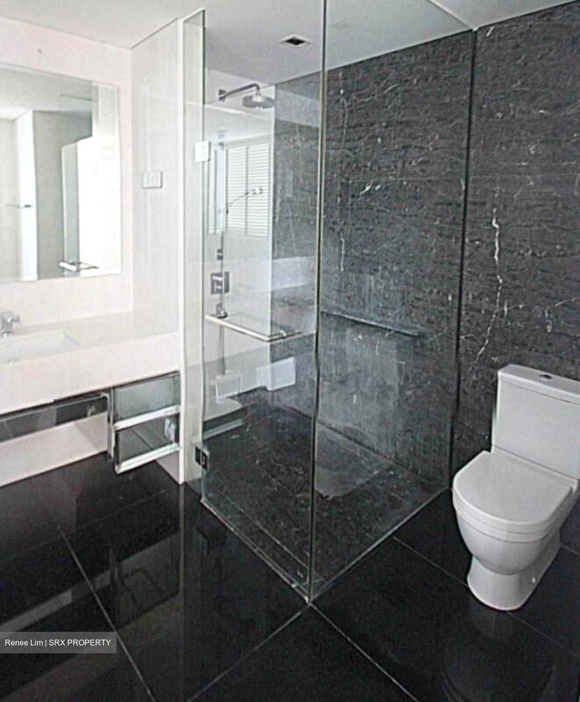 St. Regis Residences (D10), Apartment #521127961
